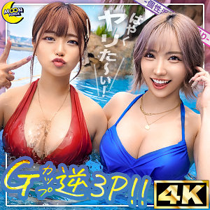 Mfc313jp