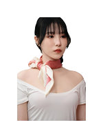 Cs4753ps