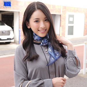 Smjs113jp