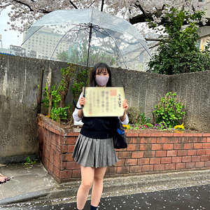 Dni178jp