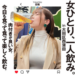 Hsg004jp