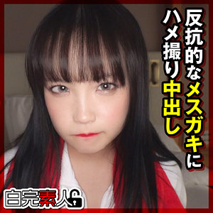 Sika384jp