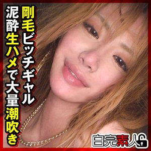 Sika395jp