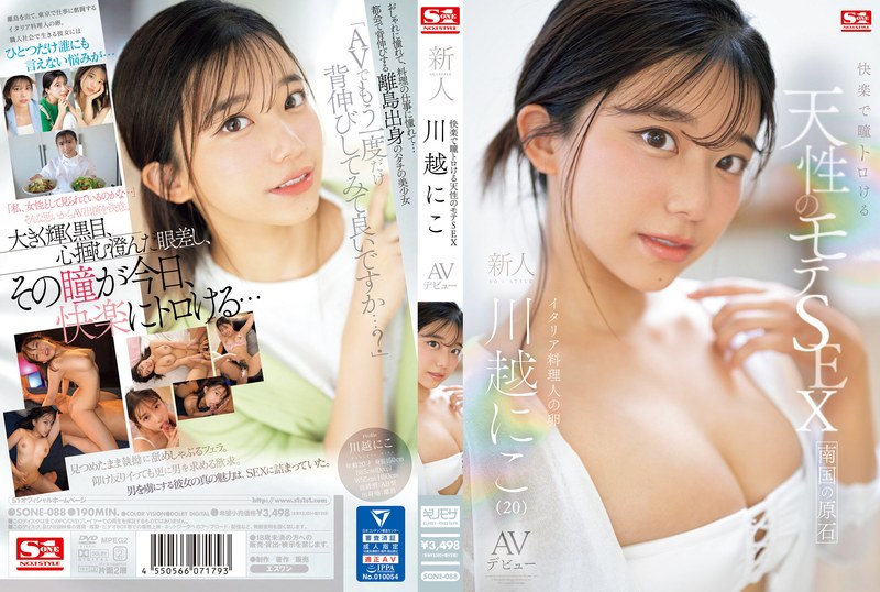 Sone00088pl