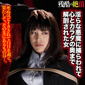 Zech035jp