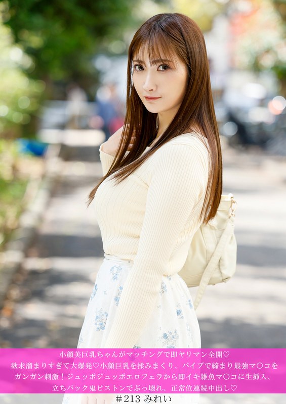 H 1658hnhu00213pl